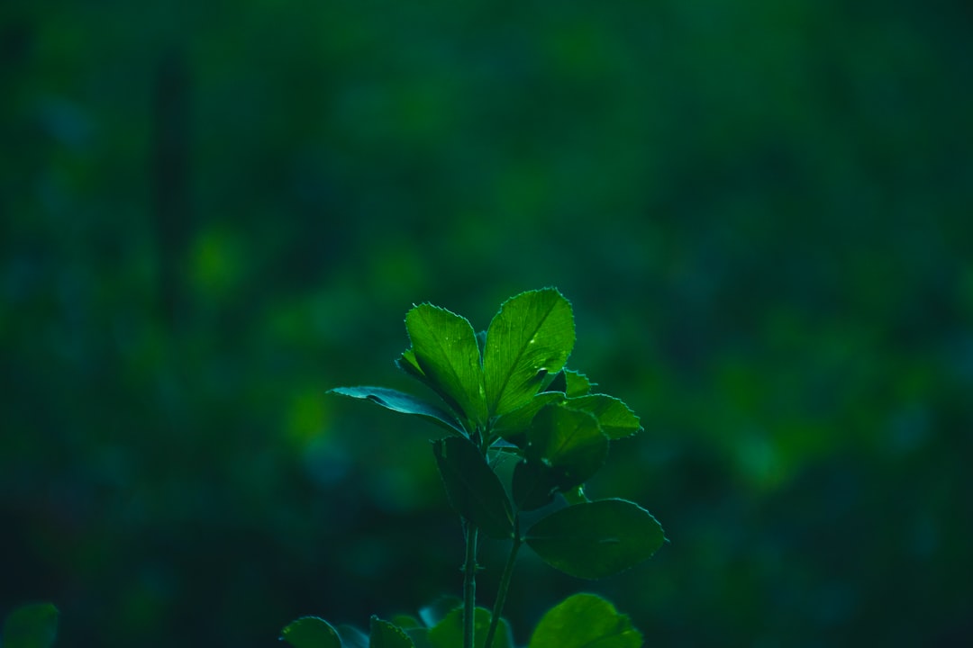 长三角企业硬件开发中的元器件选型与样机组装常见误区解析